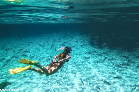 Rottnest Island Activities