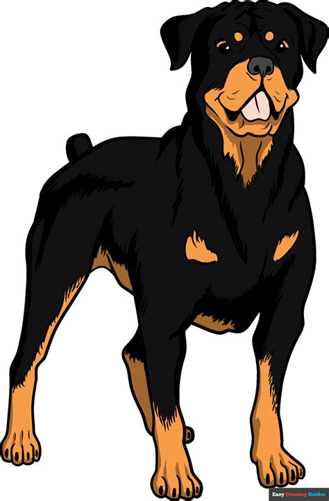 Black Dog Wagging Tongue Rottweiler cartoon, Cartoon dog, Dog art