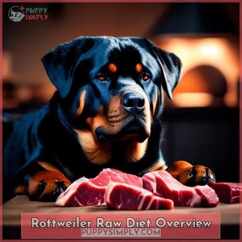 Rottweiler Raw Diet