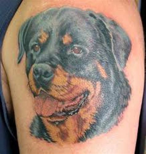 Rottweiler Tattoos And Meanings; Rottweiler Tattoo Designs