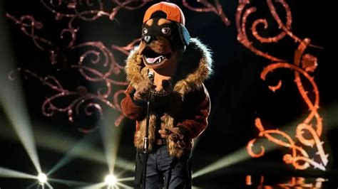 Rottweiler sings "Someone You Loved" by Lewis Capaldi THE MASKED