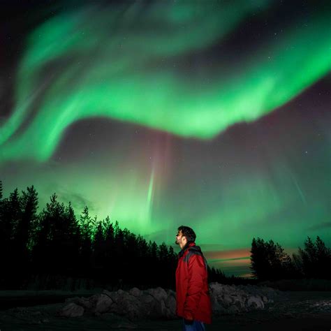 Rovaniemi Northern Lights Guide