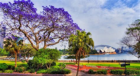 Royal Botanic Garden