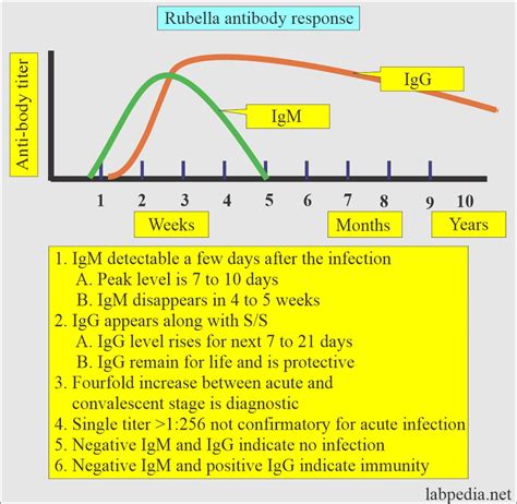 Rubella IgG Test and interpretation