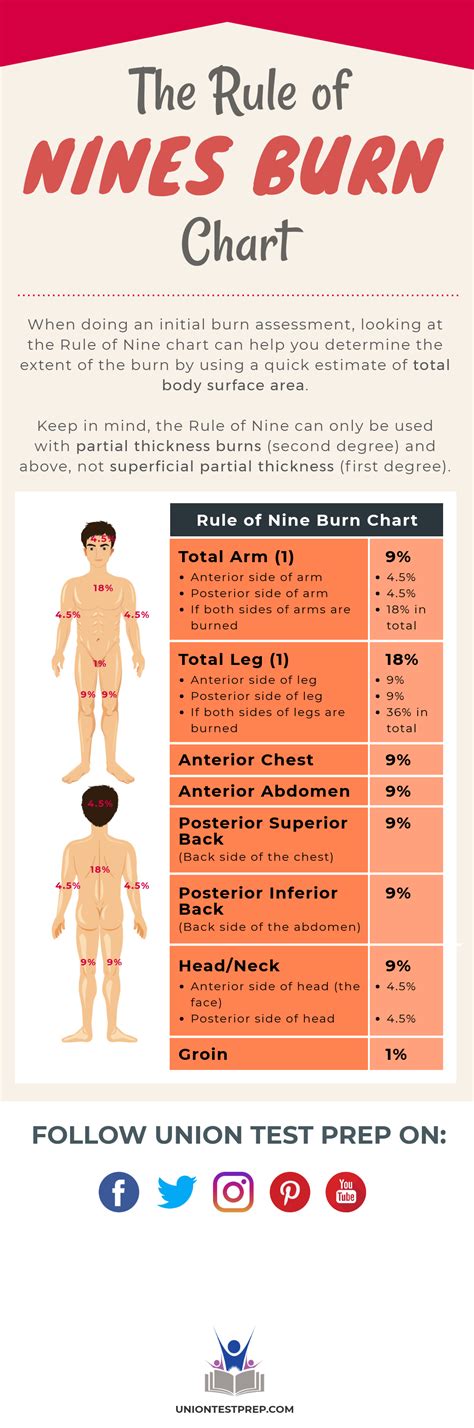 Rule Nines Burn Chart