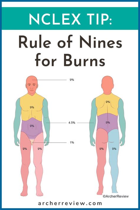 Understanding Rule of Nines: Essential Burn Injury Assessment Guide
