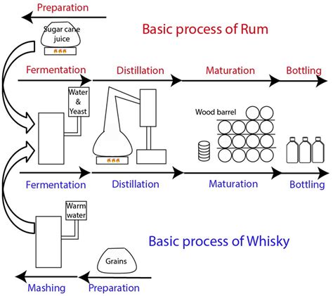 Rum Making Process