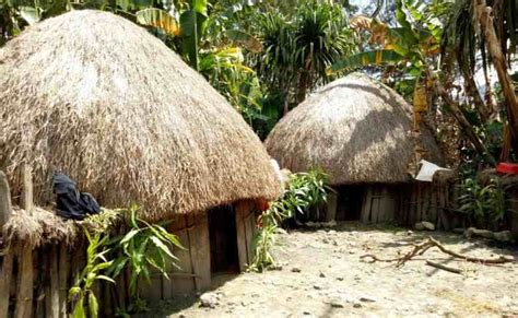 Rumah Adat Papua Dikenal dengan Nama