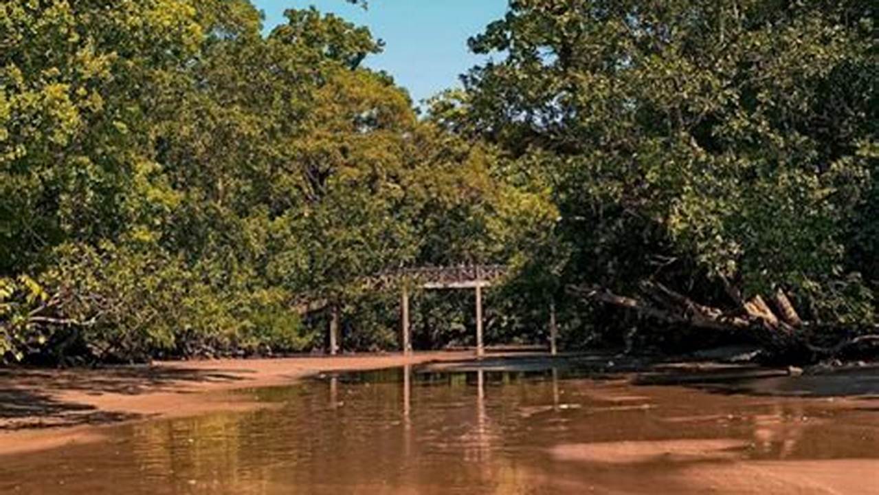 Rumah Bagi Beragam Flora Dan Fauna, Danau Terbesar