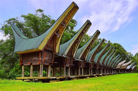Rumah Tongkonan Sulawesi Selatan