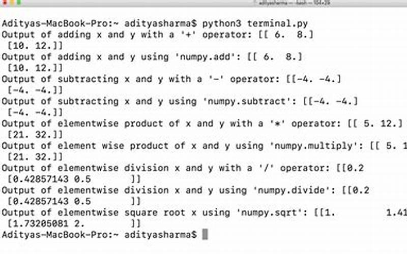 Run Your Python Script