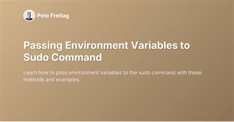 Run Sudo With Environment Variables