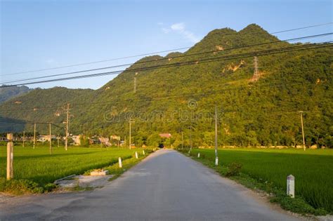 Rural Paths Vietnam