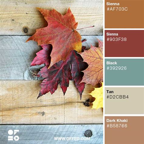 Rustic Color Scheme