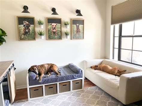 Rustic Dog Living Room