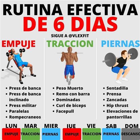Rutina Gym 6 Dias NUTRICION|EJERCICIO|SALUD on Instagram: “RUTINA EFECTIVA DE 6 DIAS por  @vlexfit 🏋🏼‍♂️ . Esta ruti… | Ejercicios de entrenamiento, Ejercicios,  Rutinas de ejercicio