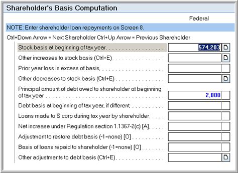 S Corp Basis Calculation Worksheet