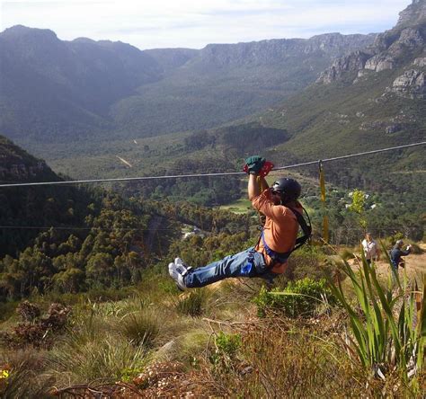 SA Forest Adventures Constantia