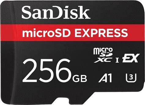 SD Card