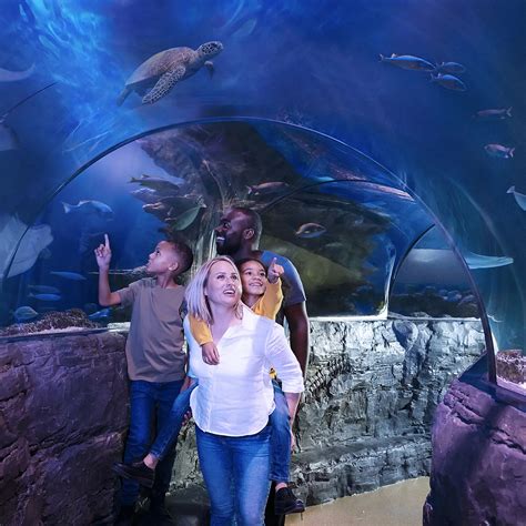 SEA LIFE Blackpool