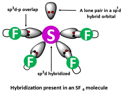 SF4 Hybridization