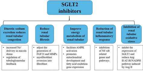 SGLT2 Inhibitors: A Different Approach