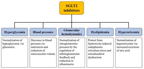 SGLT2 Inhibitors Beyond Glucose Control