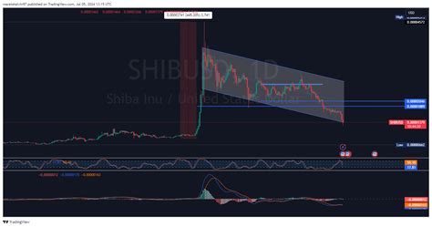 SHIB Short-Term Volatility