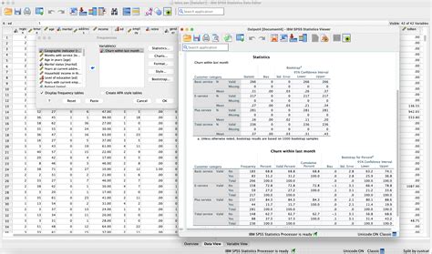 SPSS