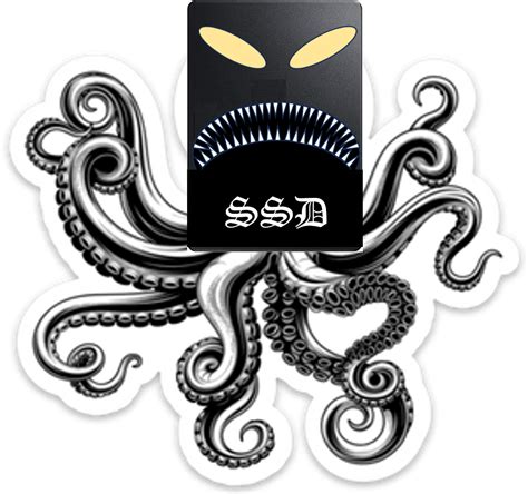 SSD: Sincerely Scary Direction