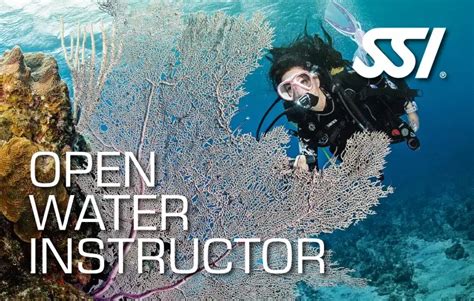 SSI Instructor
