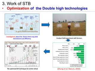 STB Optimization