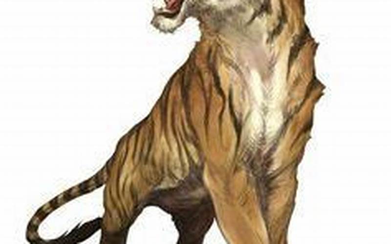 Saber Tooth Tiger 5E Appearance