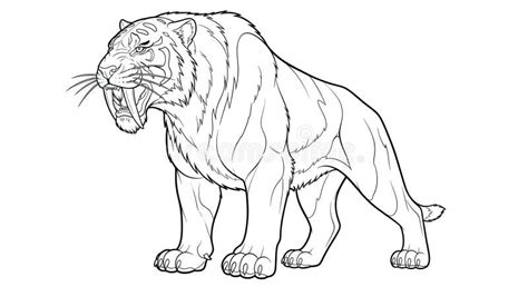 Saber Tooth Tiger Coloring Page