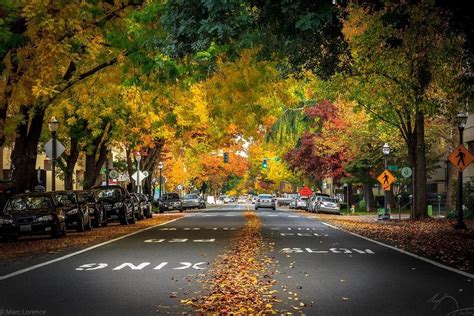 Sacramento Fall Weather