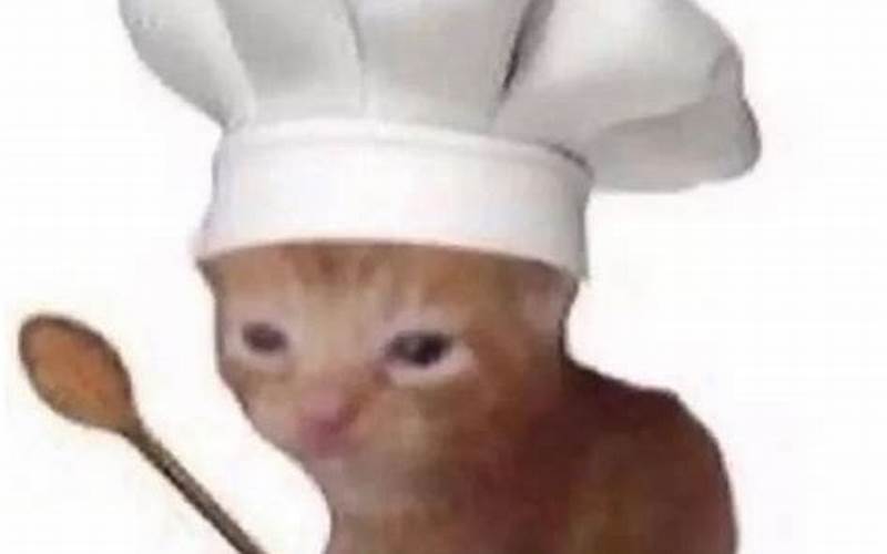 Sad Cat With A Chef'S Hat
