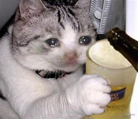 Sad Cat Meme Beer