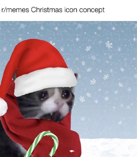 Sad Cat Meme Christmas