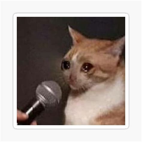 Sad Cat Meme Microphone