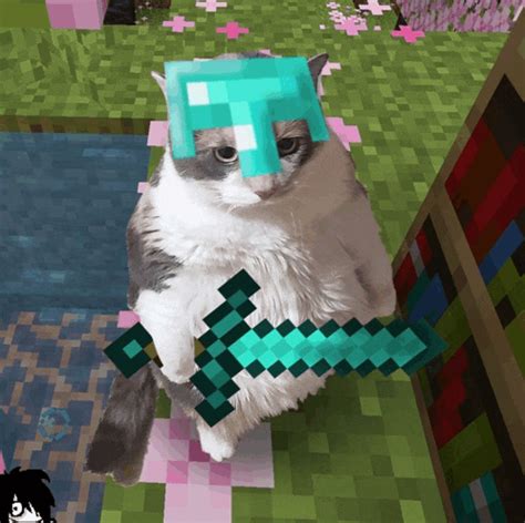 Sad Cat Meme Minecraft