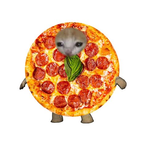 Sad Cat Meme Pizza