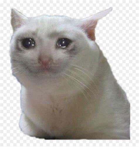 Sad Cat Meme Png