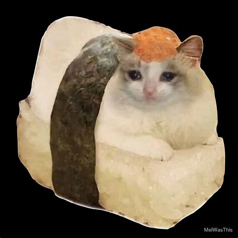 Sad Cat Meme Sushi