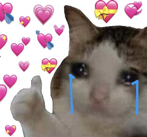 Sad Cat Meme With Hearts