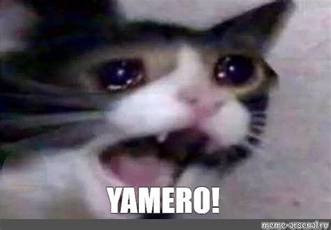 Sad Cat Meme Yamero