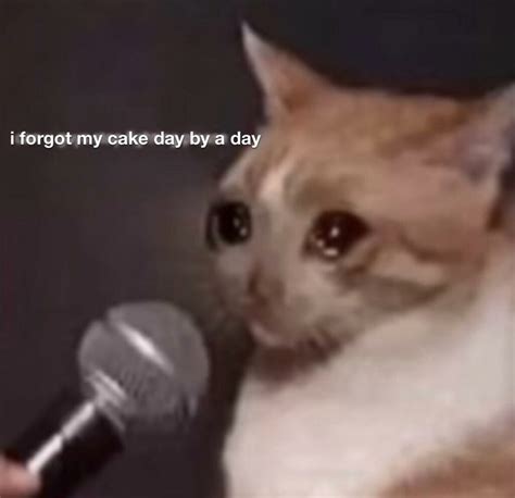 Sad Cat Memes Reddit