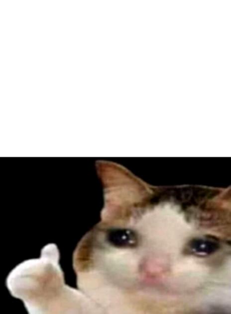Sad Cat Thumbs Up Meme Template
