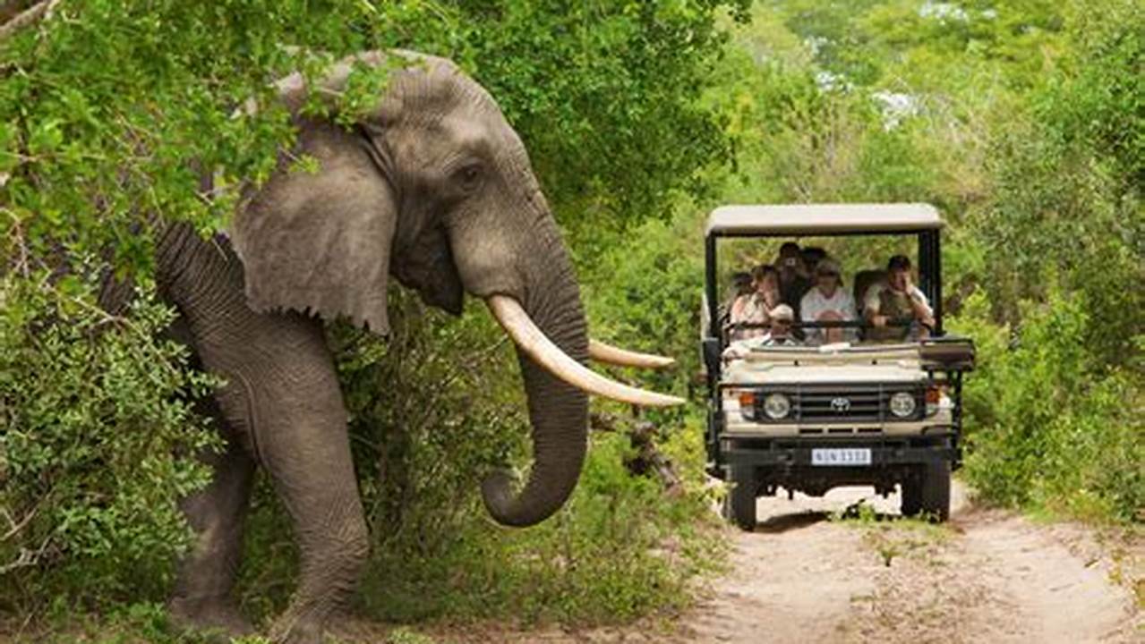 Safari, Tourist Destination
