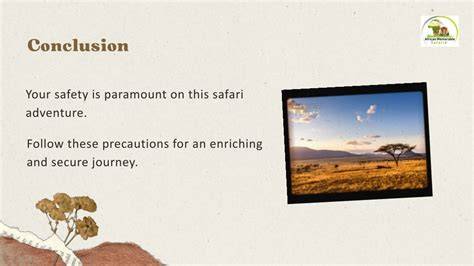 Safari Adventure Conclusion