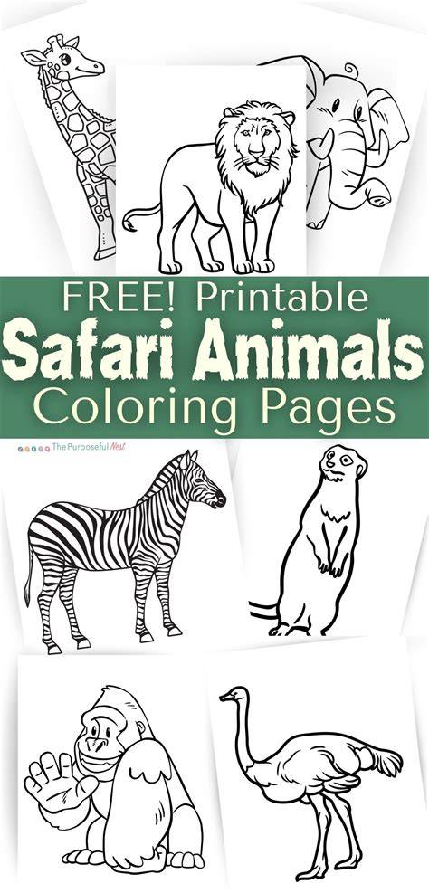 Safari Animal Color Pages